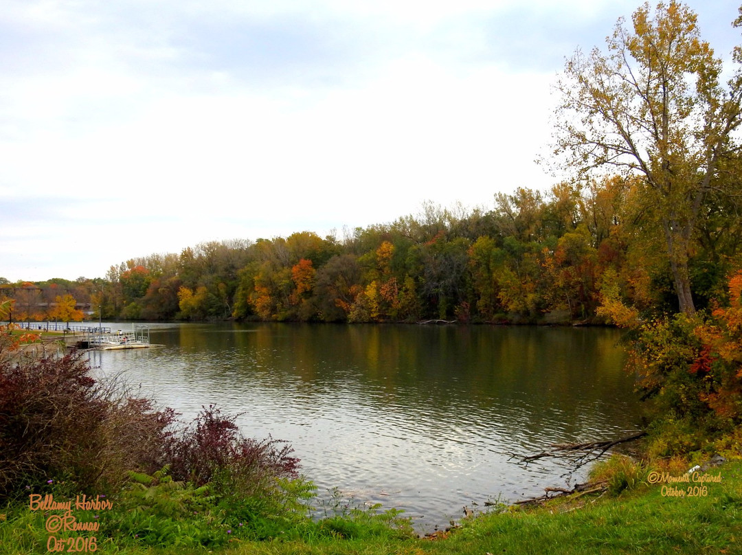 Bellamy Harbor Park景点图片