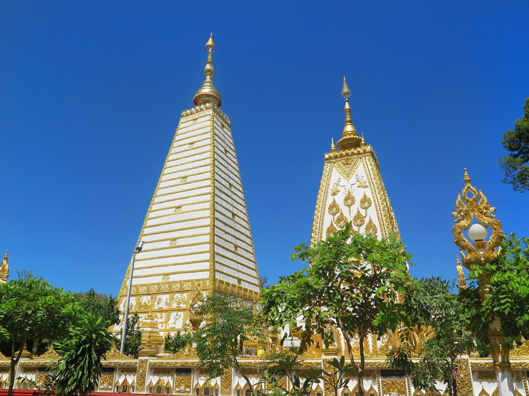Wat Phra That Nong Bua景点图片