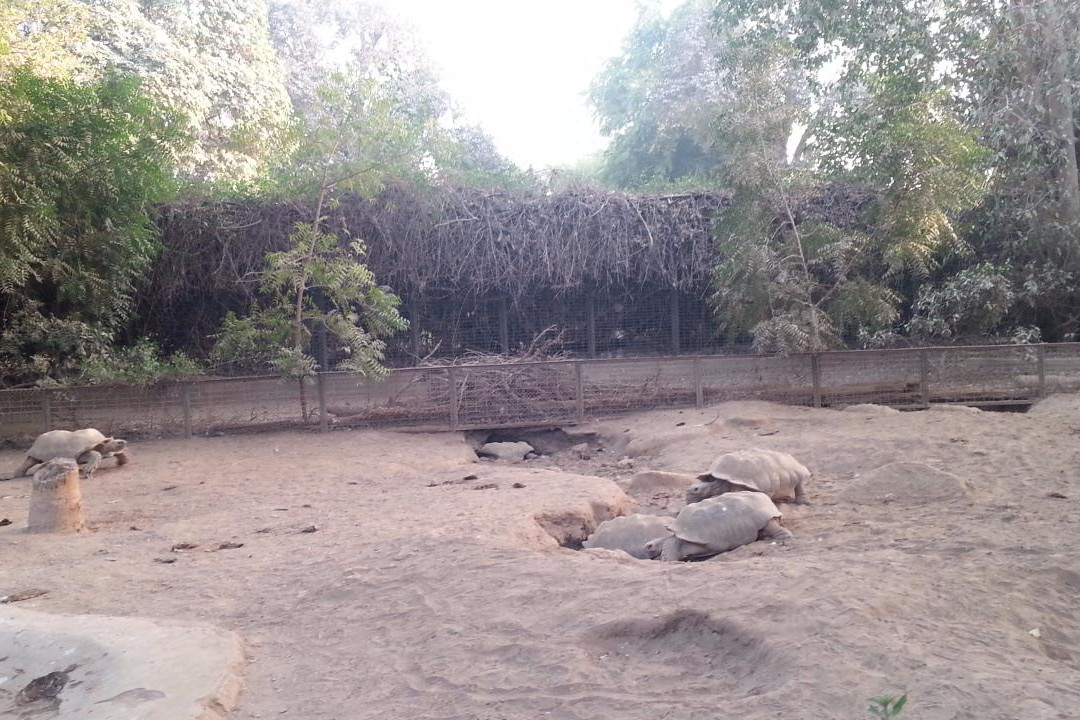 Karachi Zoo-卡拉奇必去景点