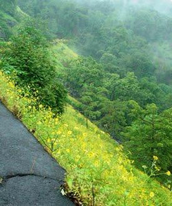 Suryamal Peak景点门票图片