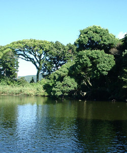 Ose no Kami Pond景点门票图片