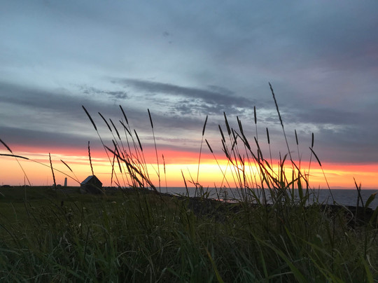 Elfhus-哈夫纳夫约杜尔必去景点