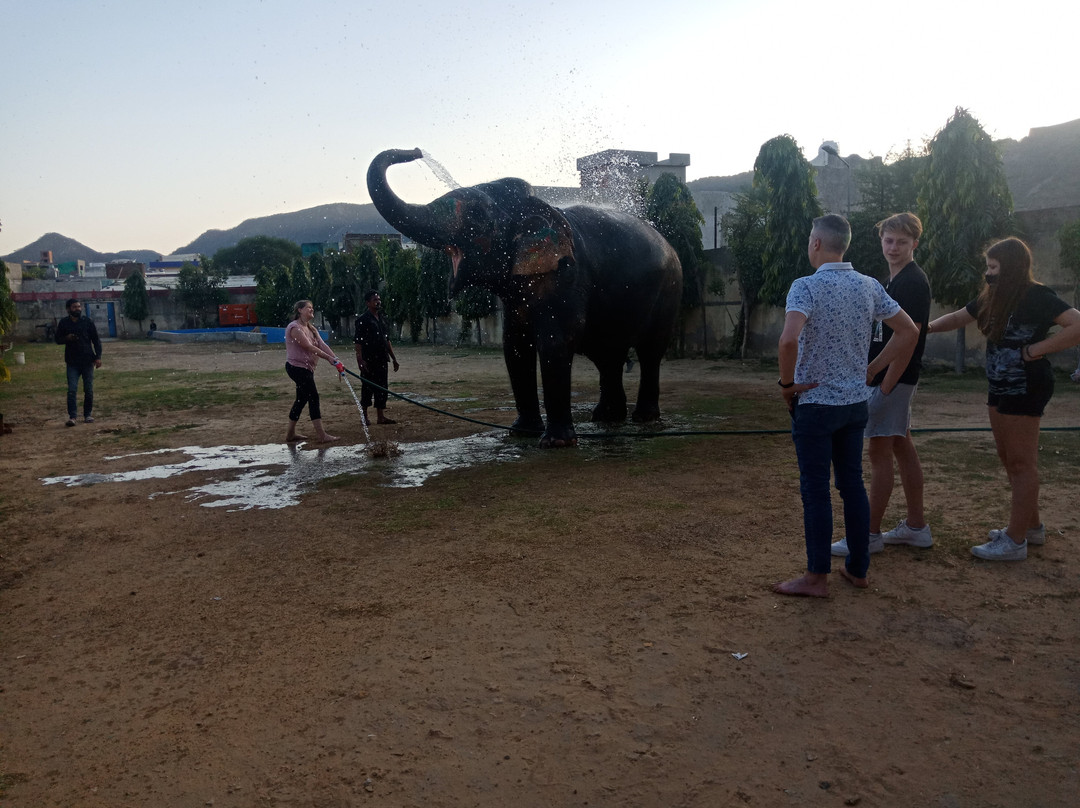 Elephant Fun Park景点图片