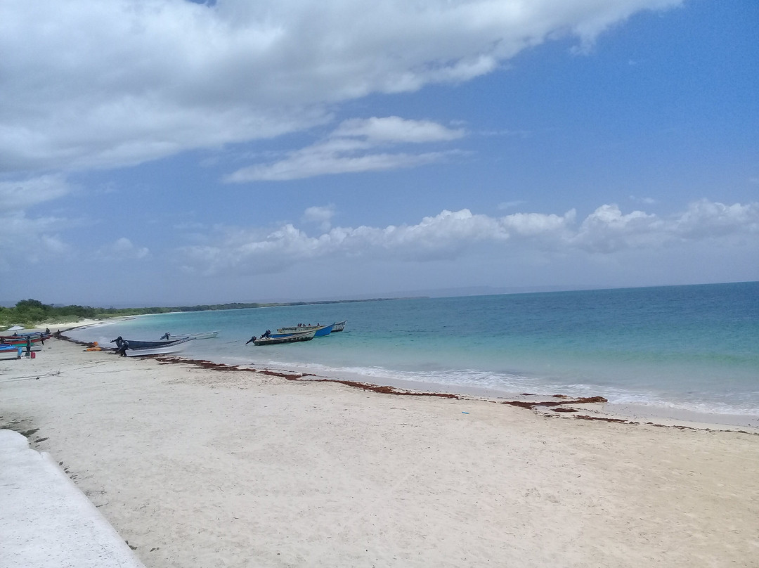 Bocanye, Gril & Seafood