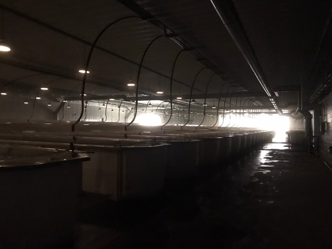 Dorion Fish Culture Station