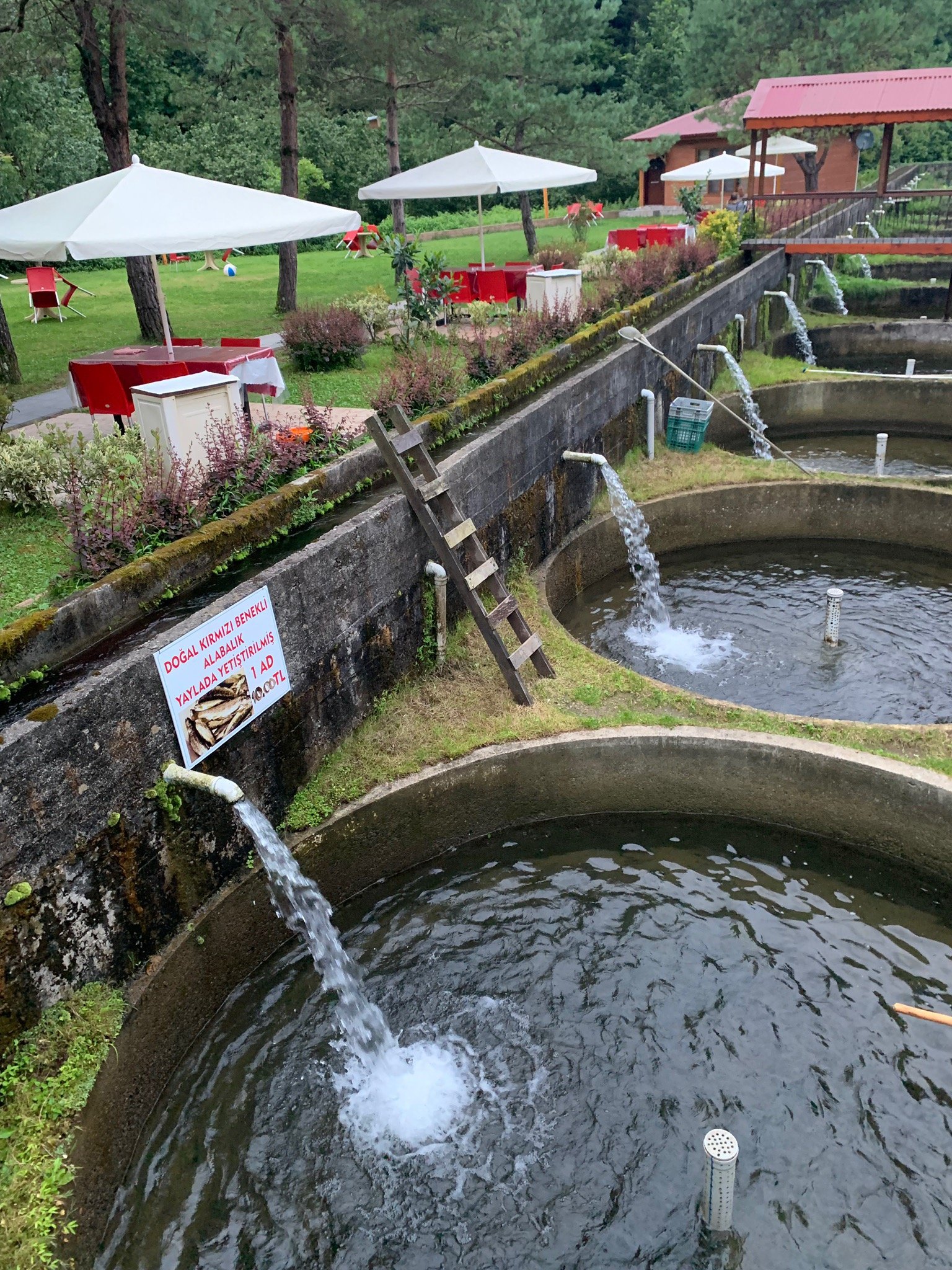 Pinar Kir Evi-官方