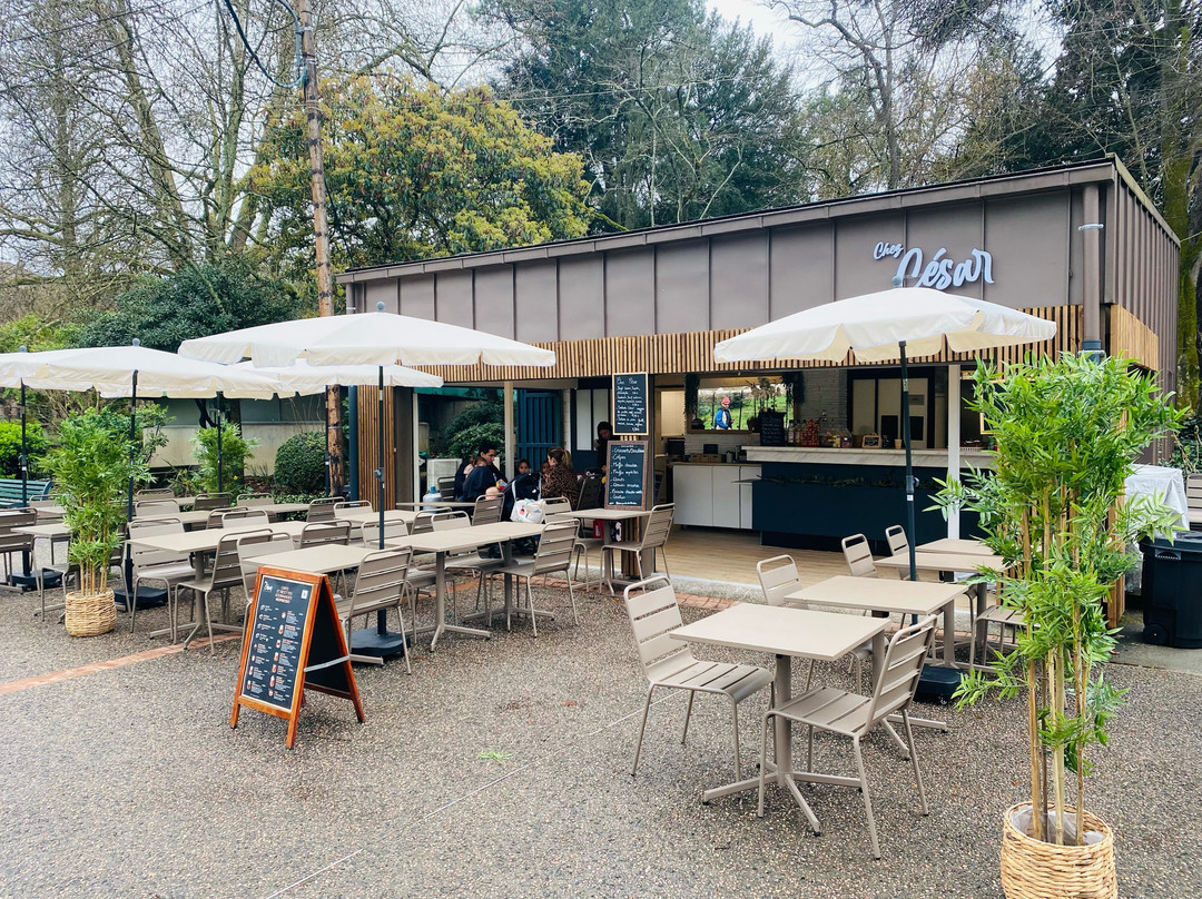 Chez Cesar Au Jardin Des Plantes