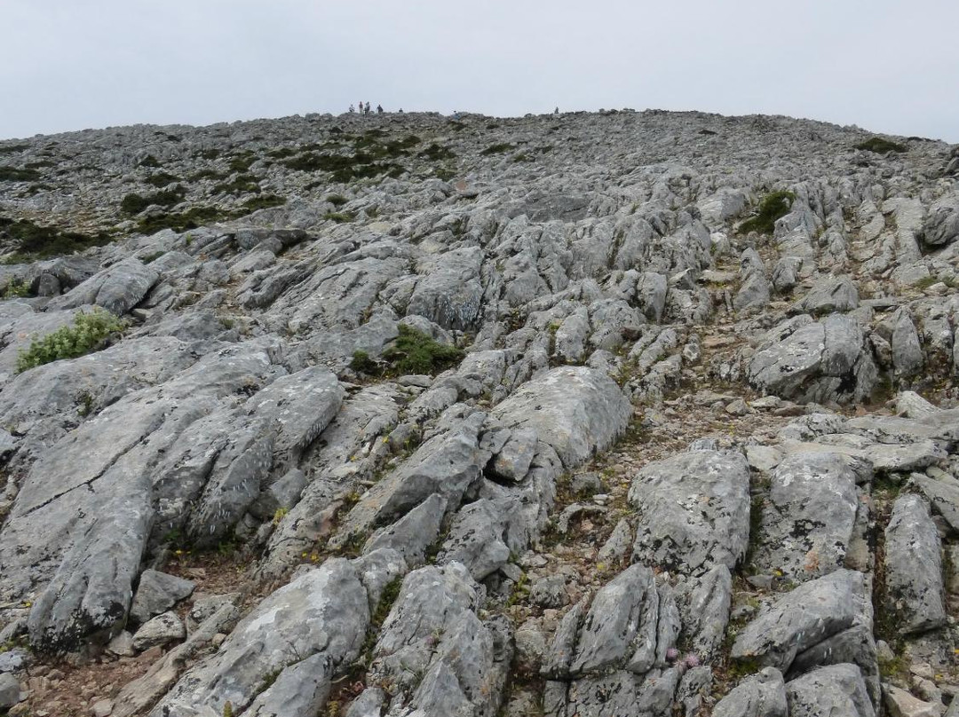 Zas Mountain景点图片