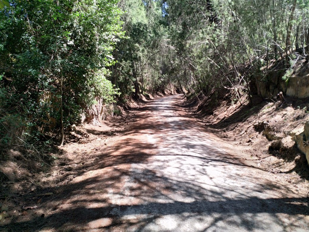 Riesling Trail-克莱尔必去景点