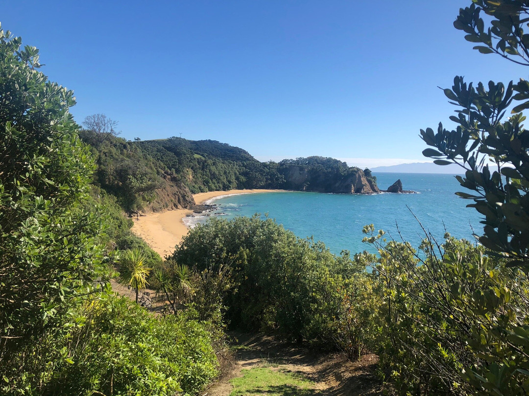 Rotoroa Island-奥克兰必去景点