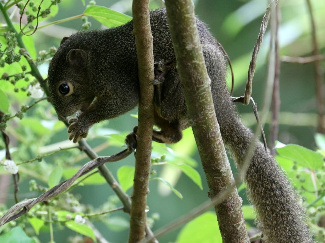 Admiralty Park-新加坡必去景点