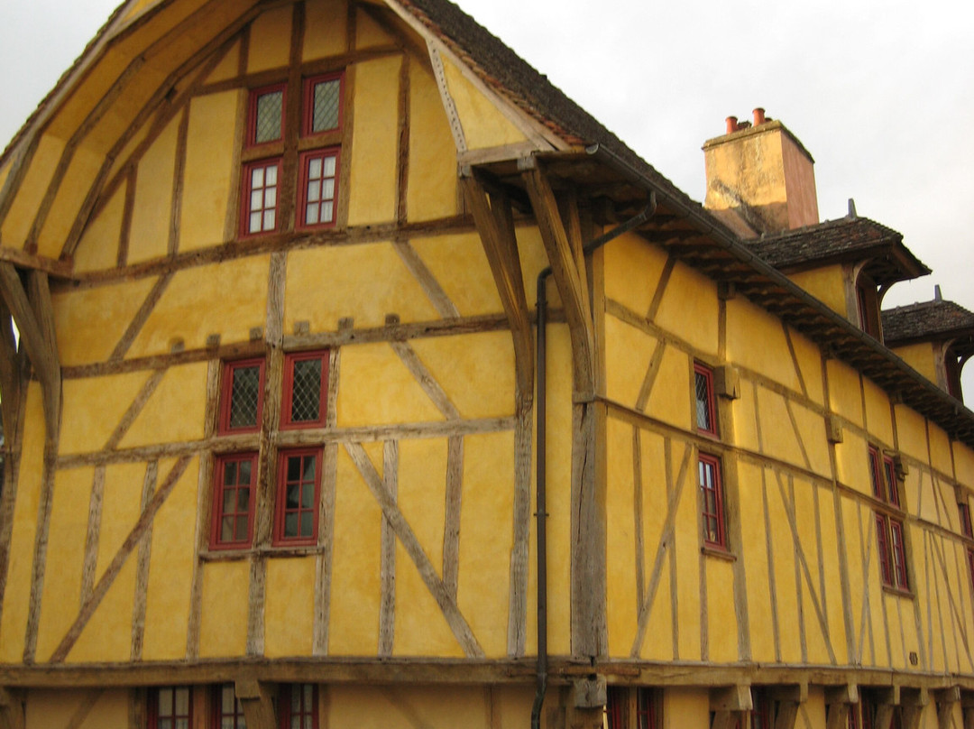 Le Coeur De Troyes-特鲁瓦必去景点