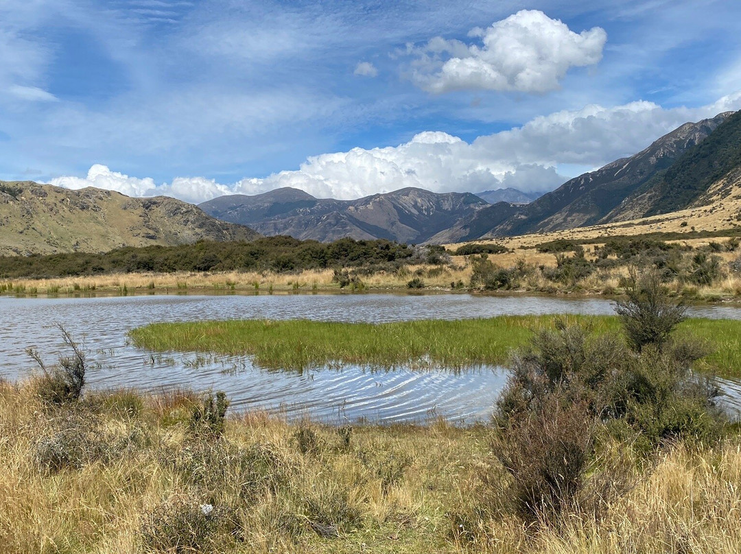 Lake Sumner Forest Park景点图片