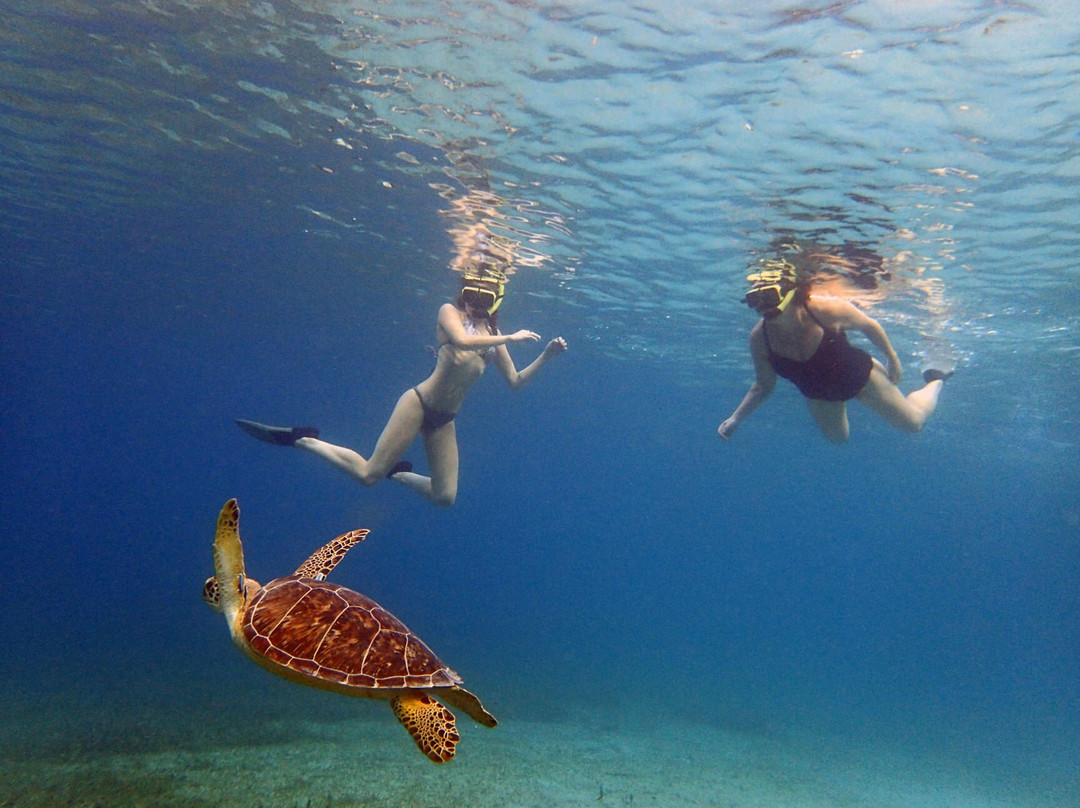 Culebra Island Adventures-库莱布拉岛必去景点