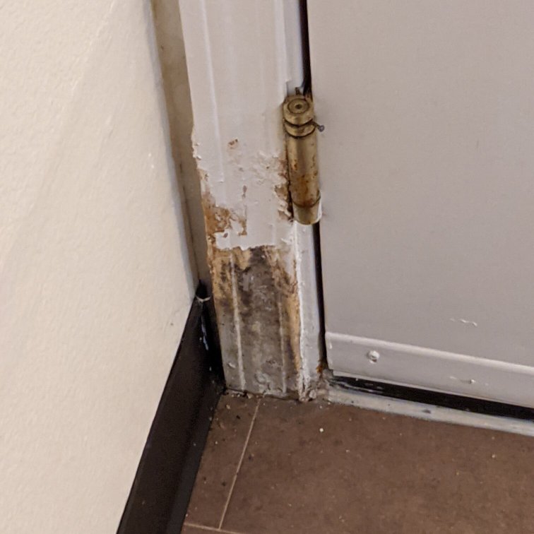 Residence Inn by Marriott Seattle Northeast/Bothell-portrait