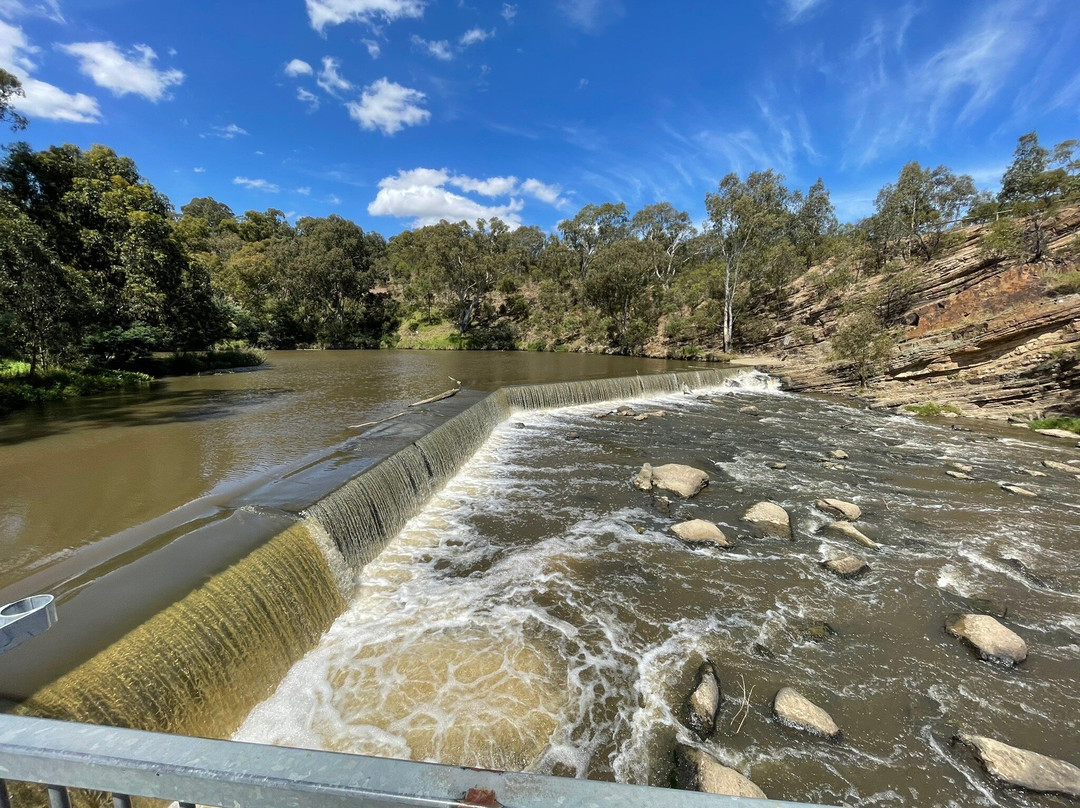 Dight's Falls Reserve景点图片