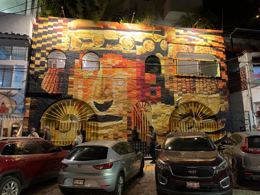 Art Vallarta-瓦拉塔港必去景点