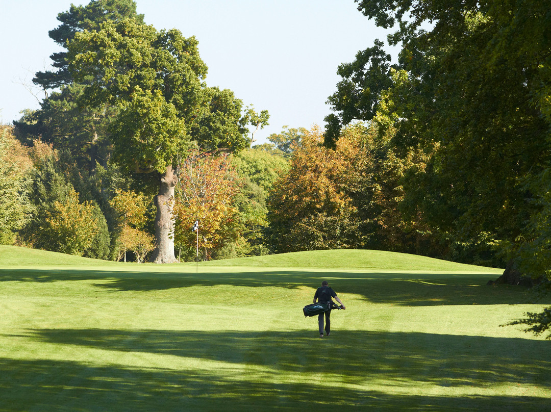 Golf At Goodwood景点图片