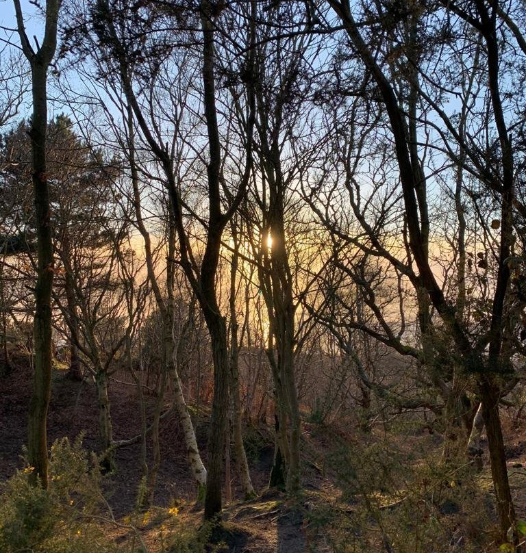 Caldy Hills-West Kirby必去景点