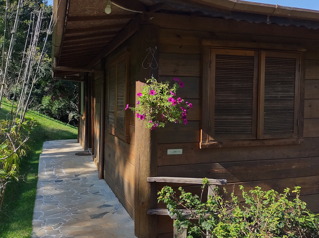 巴比伦的悬挂花园主图