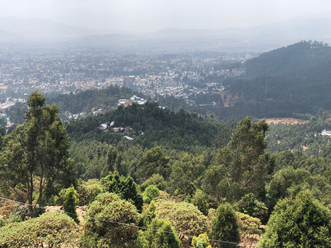 Addis Ethiopia Tours景点图片