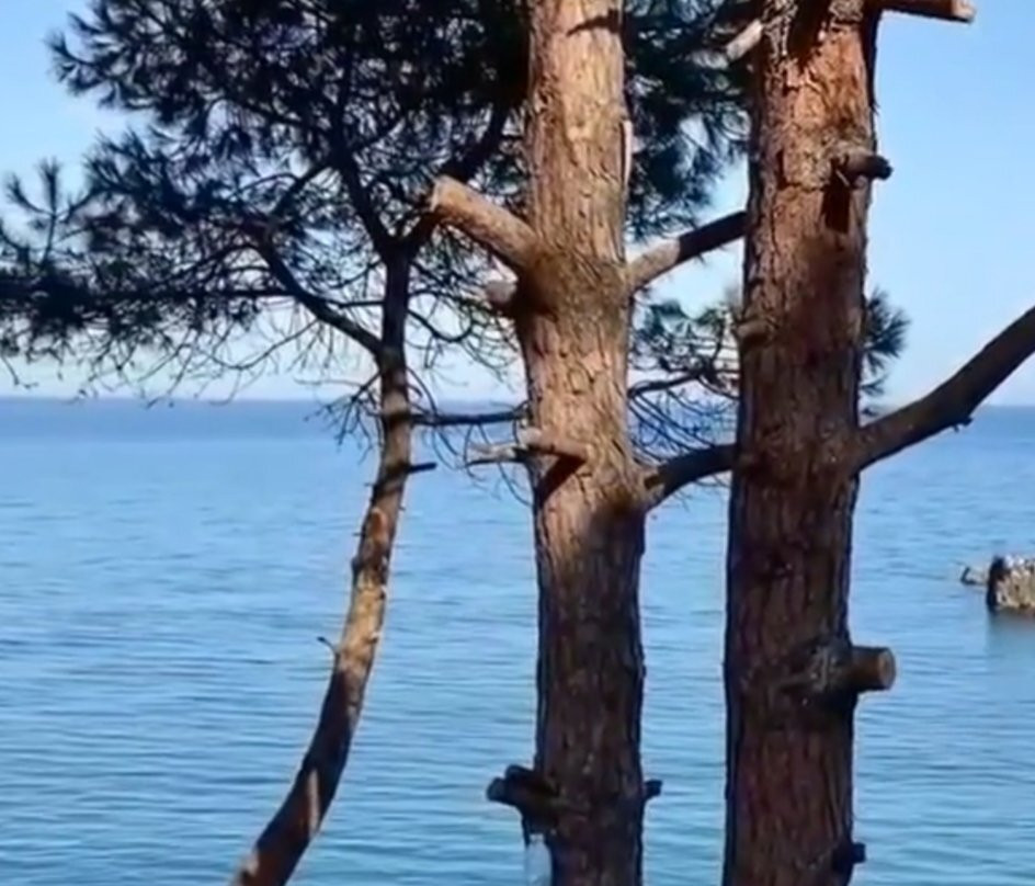 Uniport AVM景点图片