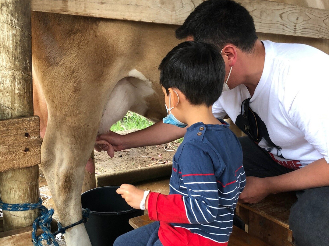 Campo Educativo-Concon必去景点