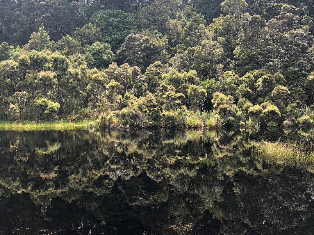 Lake Wilkie景点图片
