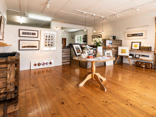 Janyne Fletcher Photographer