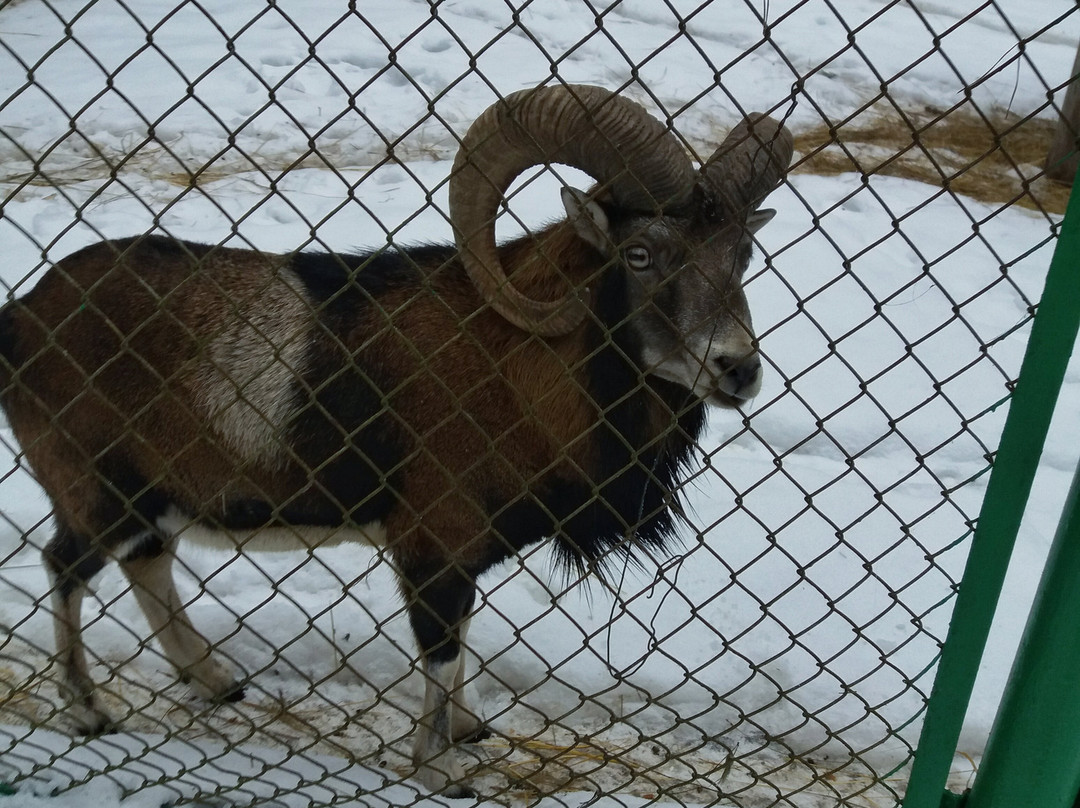 Orlovskoye Polesye National Park景点图片