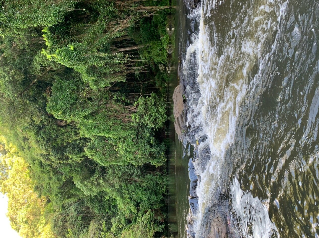Gardners Falls景点图片
