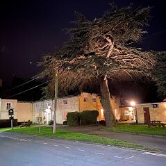 Cedars Hotel-官方