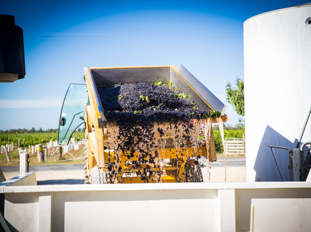 Hollick Estates-Coonawarra必去景点