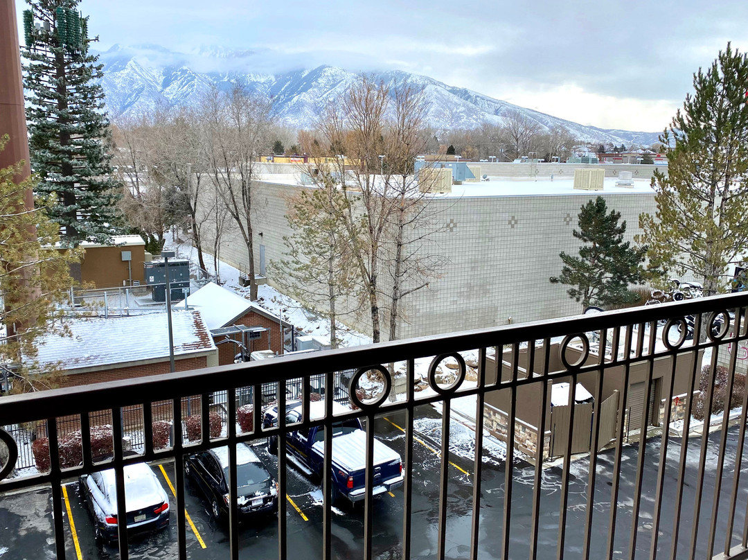 木棉树贝斯特韦斯特酒店主图