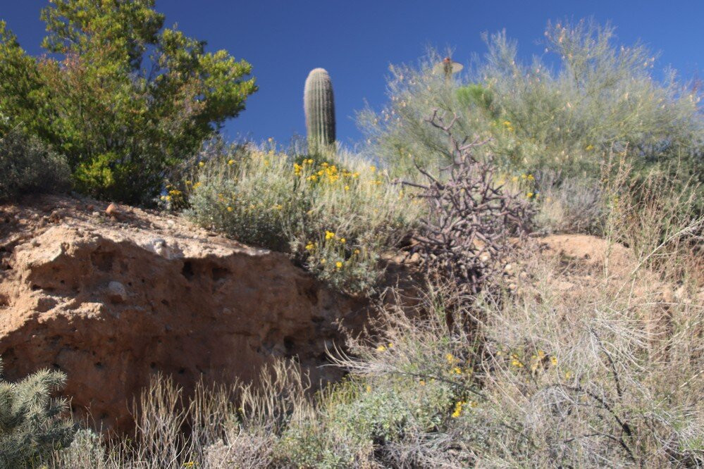 Wild Burro Trail-马拉纳必去景点
