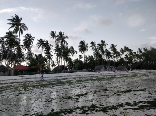 Blu Marlin Village主图