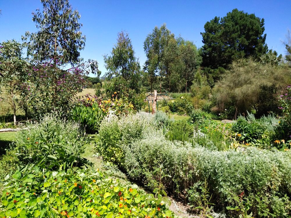 Kongwak Market-Kongwak必去景点