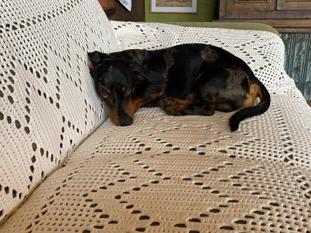 Pousada Guardiao da Montanha主图