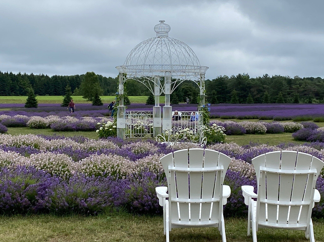 Fragrant Isle Lavender Farm & Shop-Washington Island必去景点