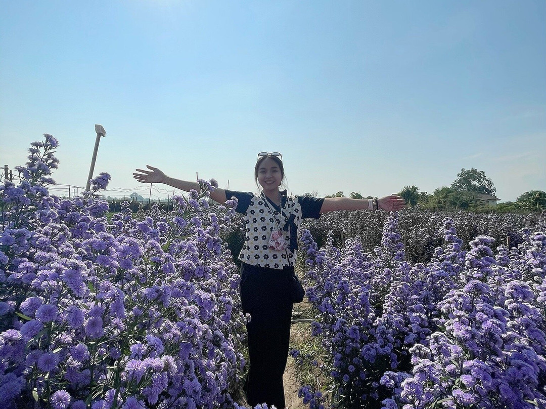 I Love Flower Farm-夜林必去景点