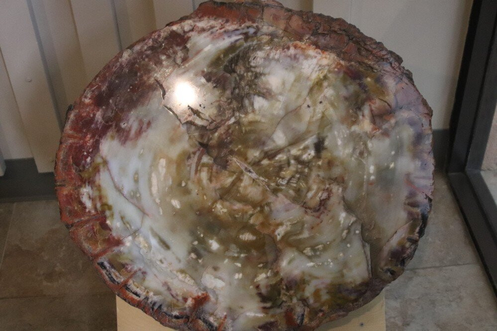 San Bernardino County Museum-雷德兰兹必去景点