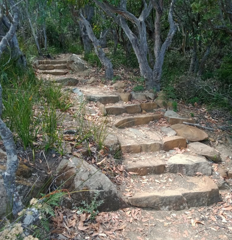 Shipstern Bluff-亚瑟港必去景点