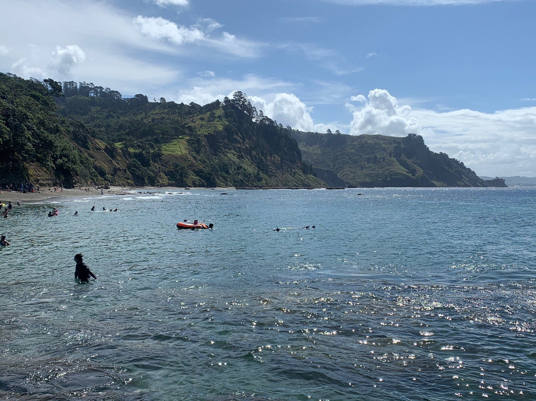 Goat Island Marine Reserve-瓦卡沃夫必去景点