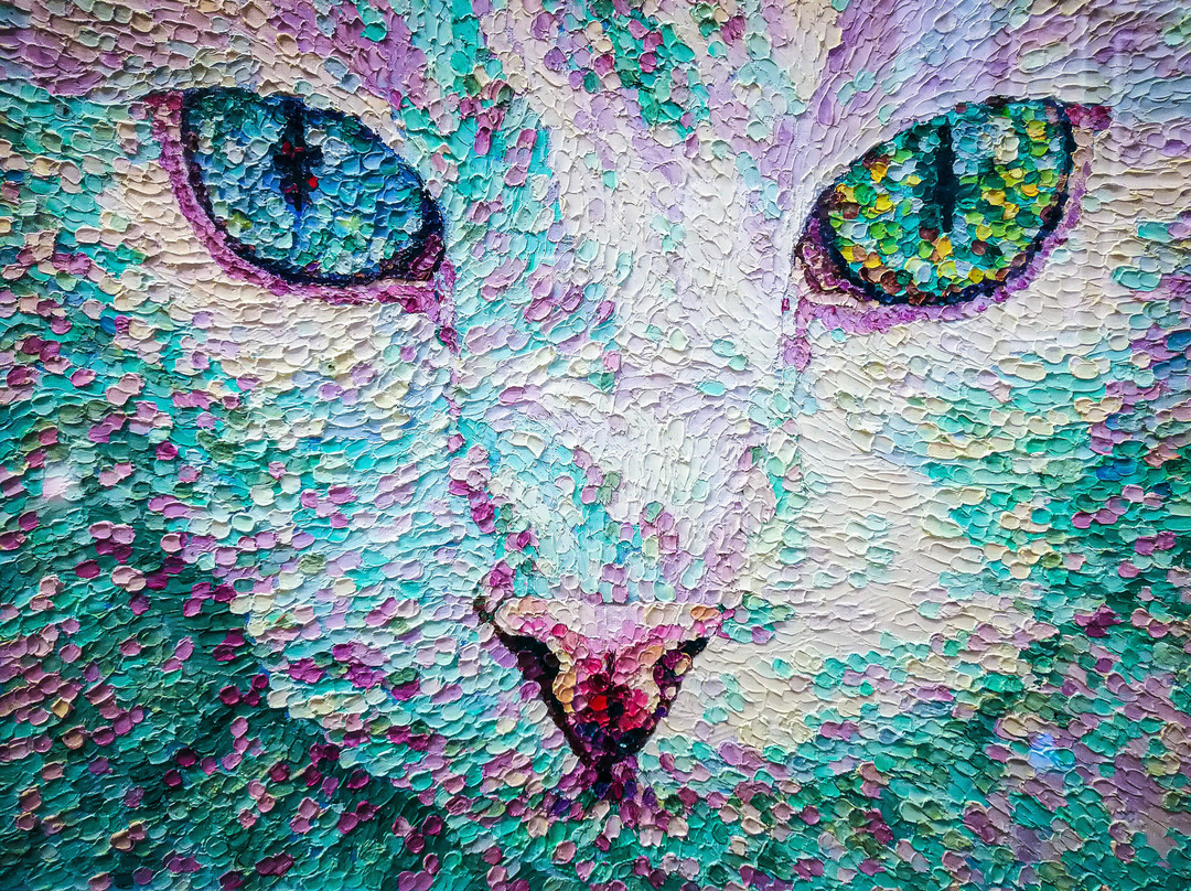 Meowseum Museum of Cat Art & Craft-乔治城必去景点