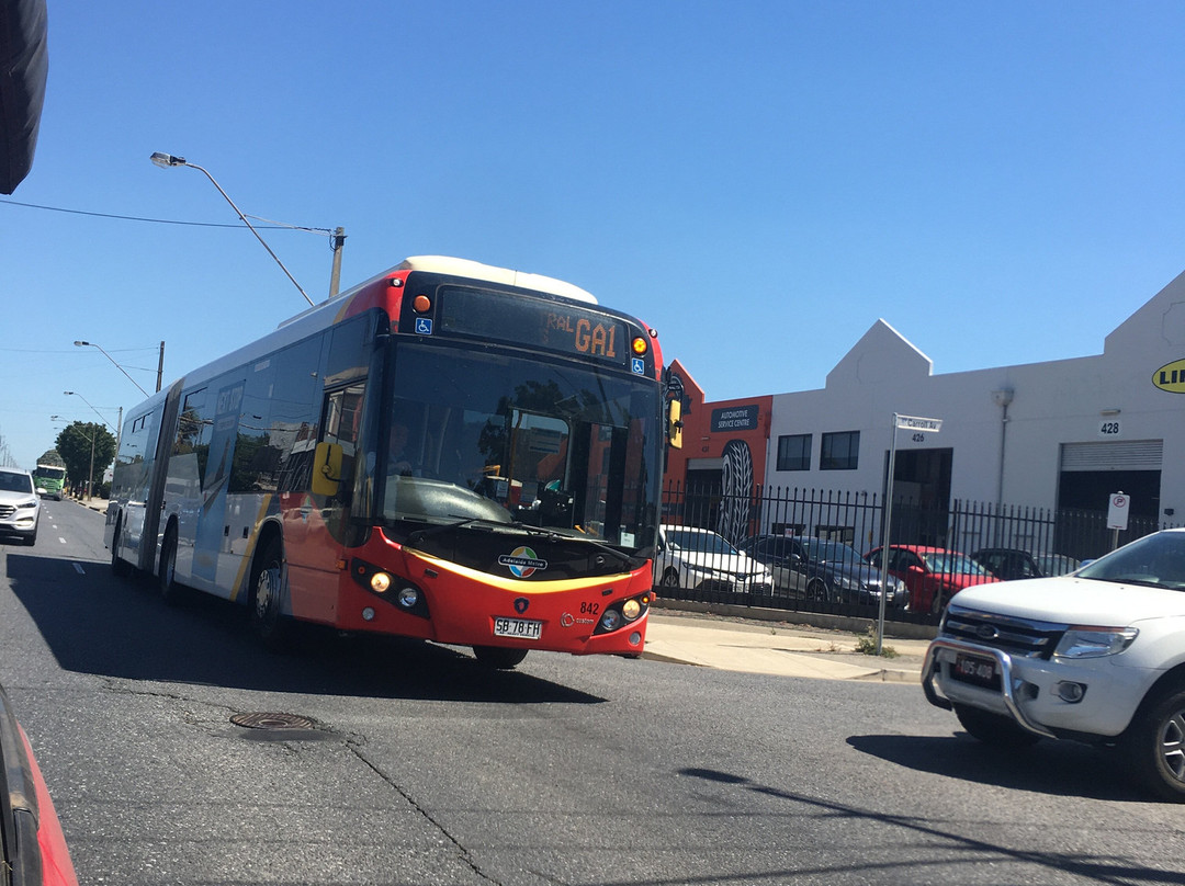 Adelaide Metro Free City Connector Bus and Tram-阿德莱德必去景点