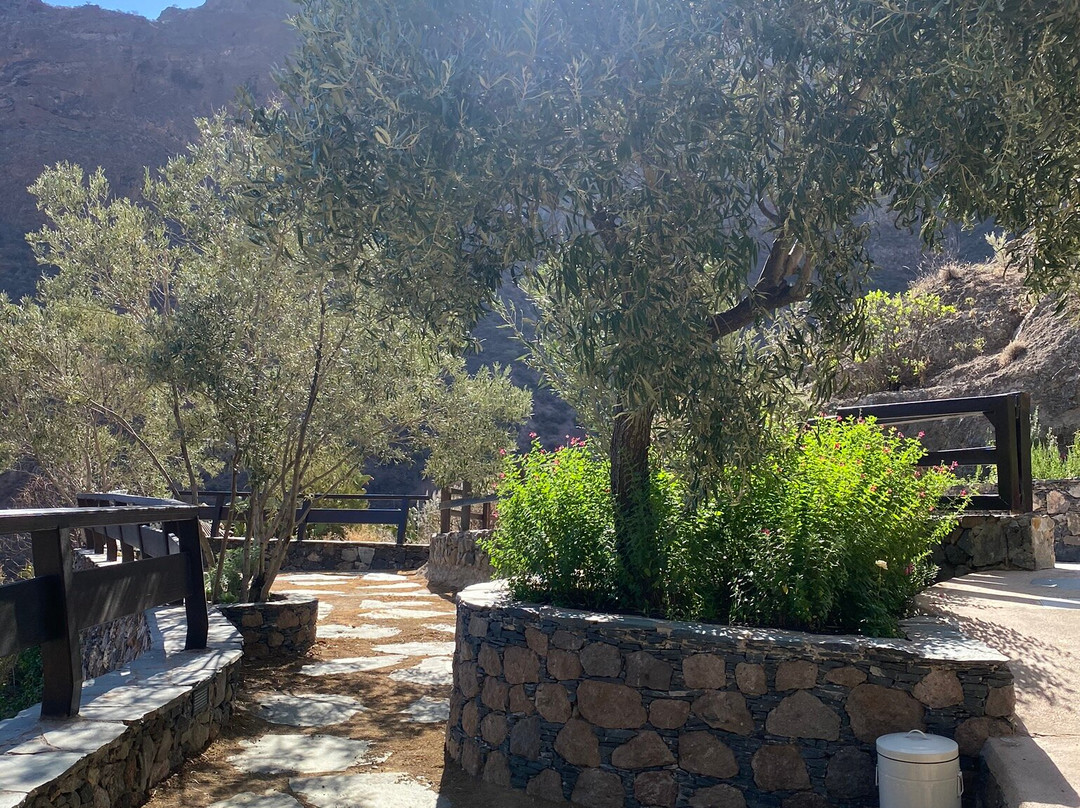Casa Cueva Canaria景点图片