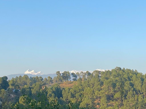 Nature's Treat Resort主图