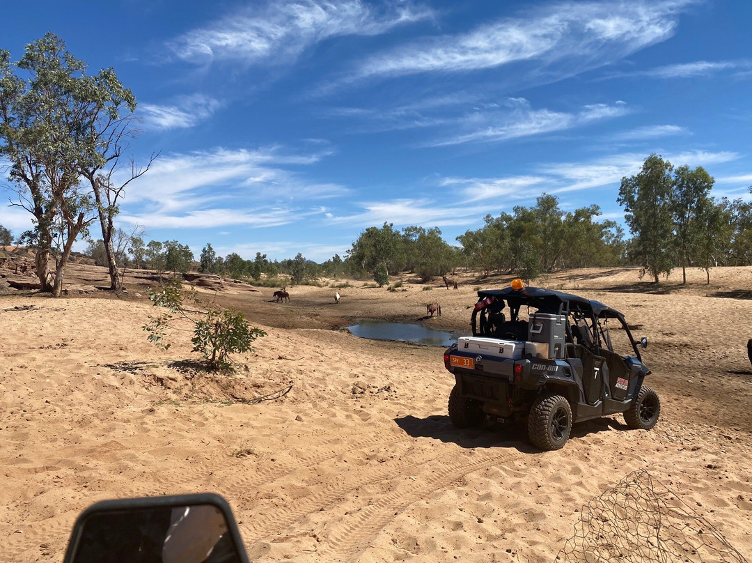 Finke River Adventures-爱丽斯泉必去景点