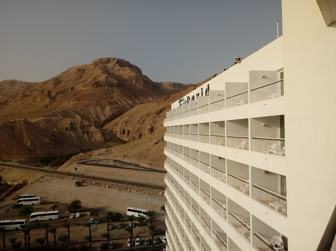 死海艾美酒店主图