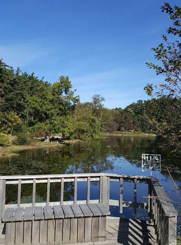 Chollipo Arboretum-泰安郡必去景点